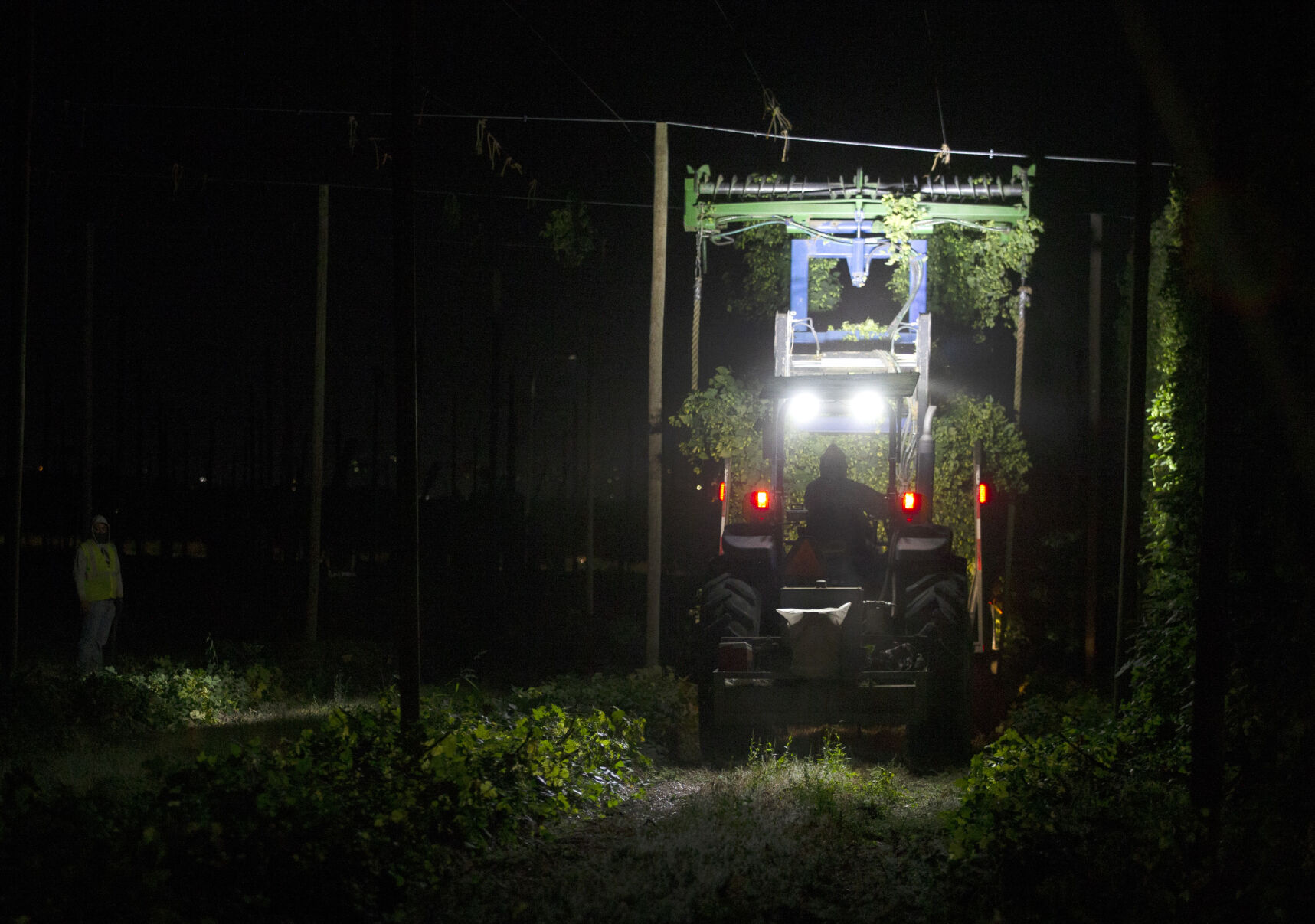 Night Hop Harvest at Morrier Ranch